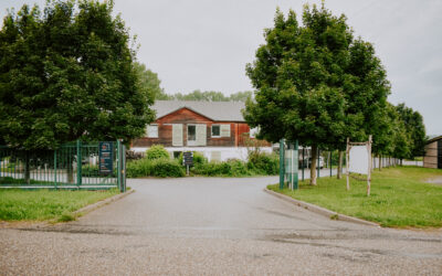 Remise en état des Haras de Pfaffenhoffen