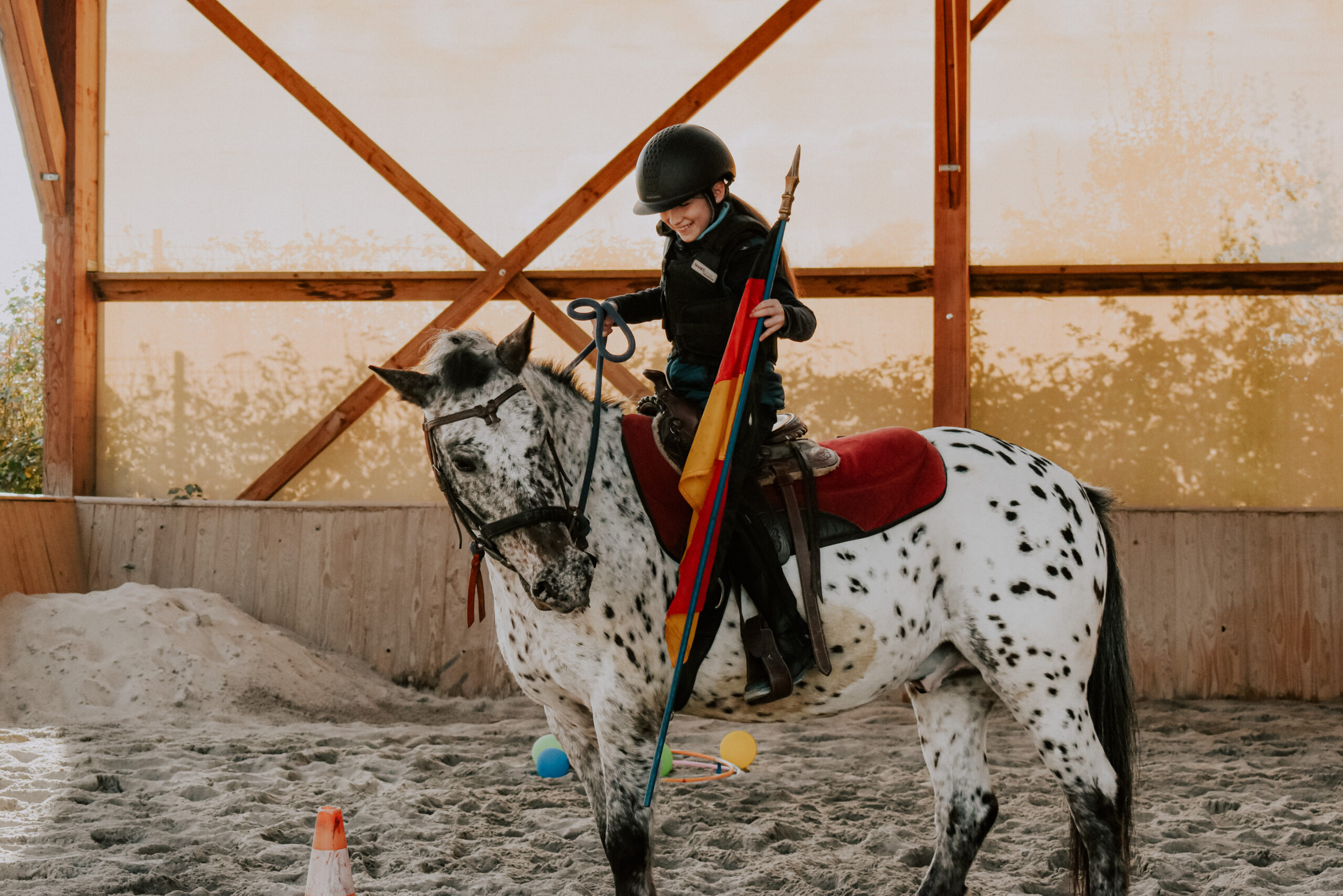 Découvrir le cheval autrement