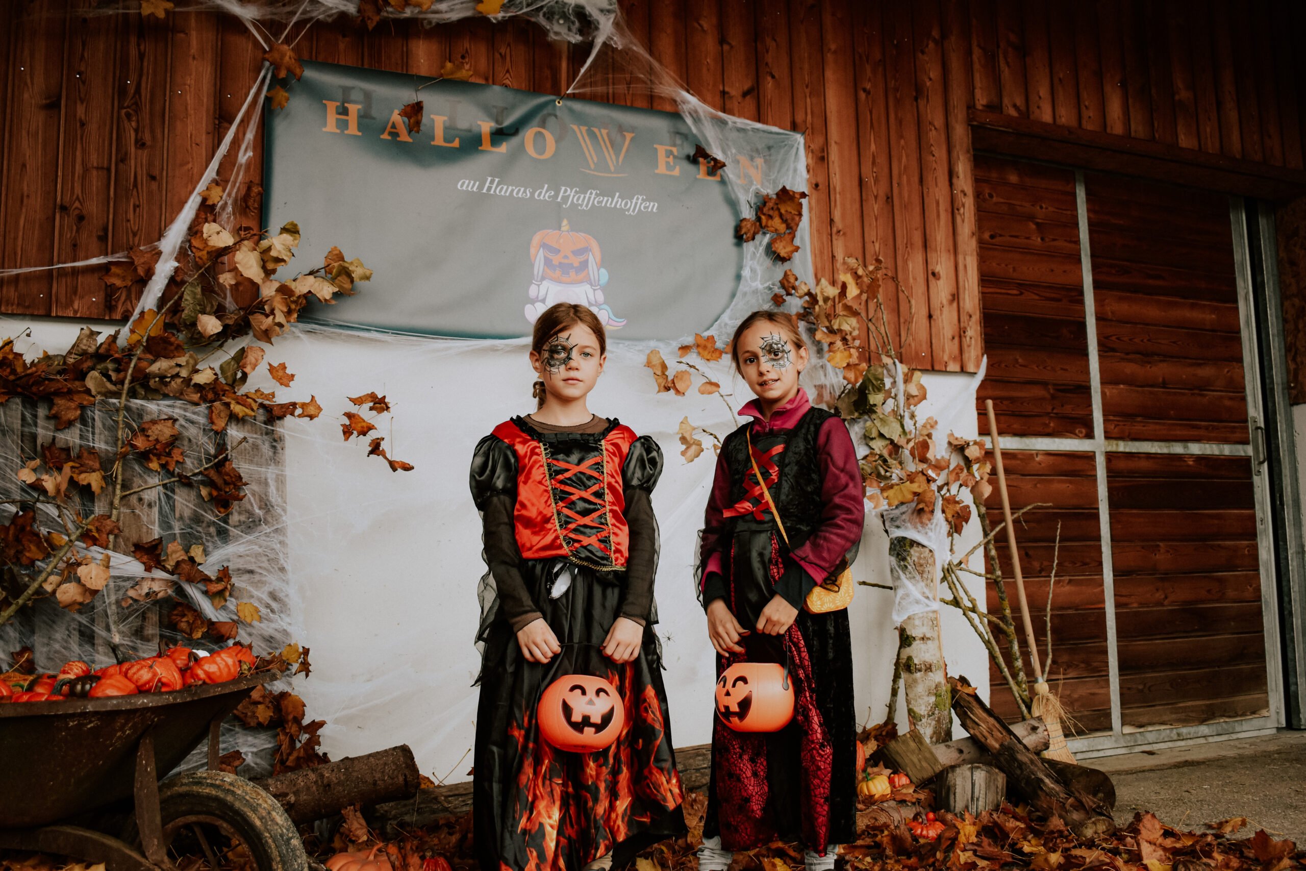 Shooting Halloween Haras de Pfaffenhoffen