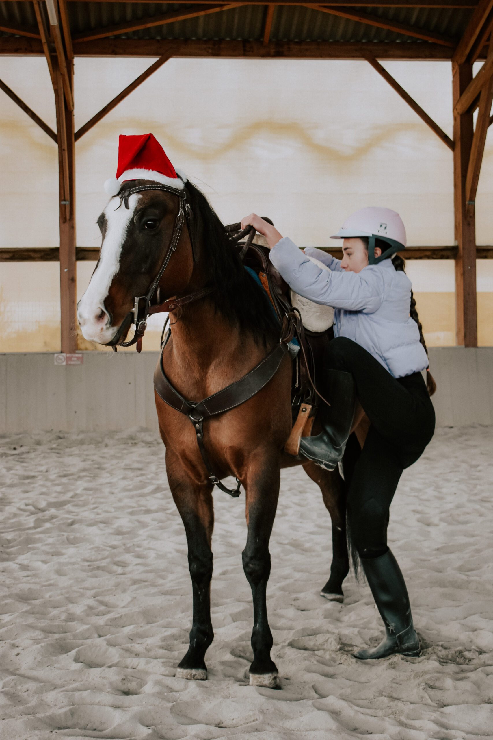 Noël à cheval