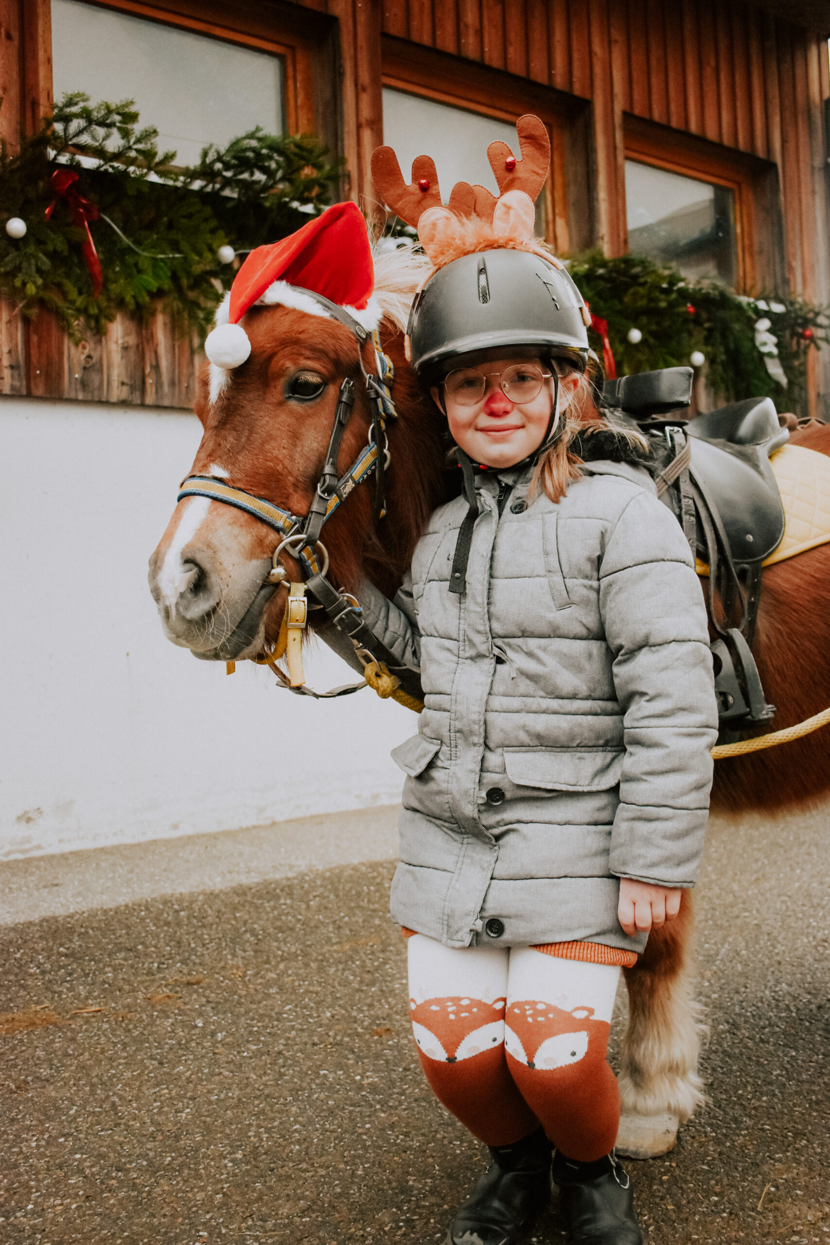 poney et renne noel