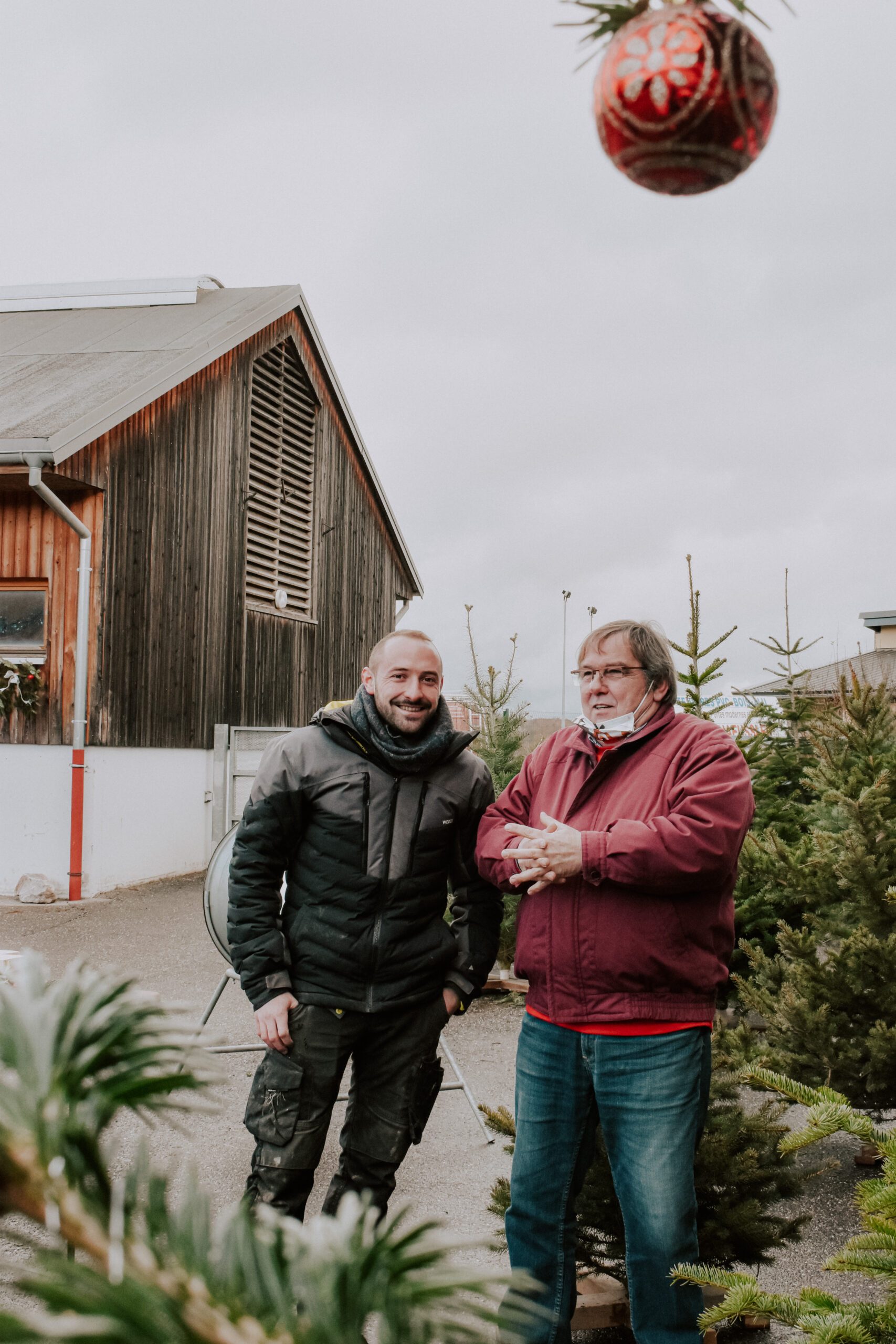 vente sapin haras pfaffenhoffen