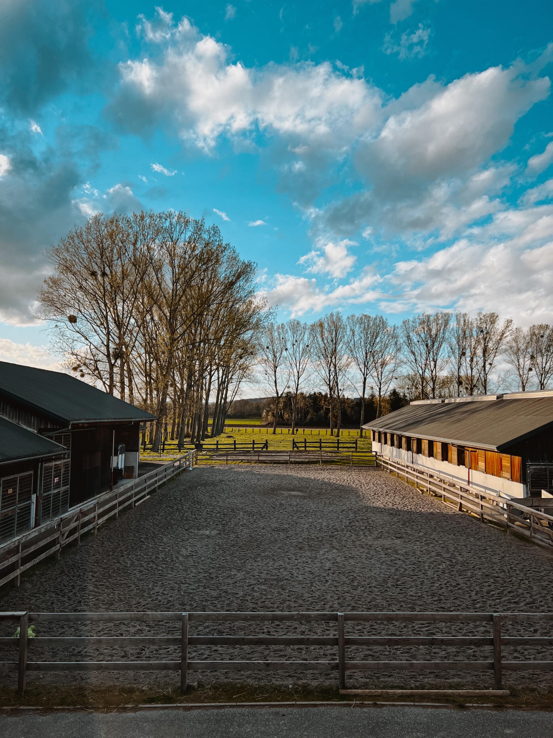 Carrière Haras de Pfaffenhoffen