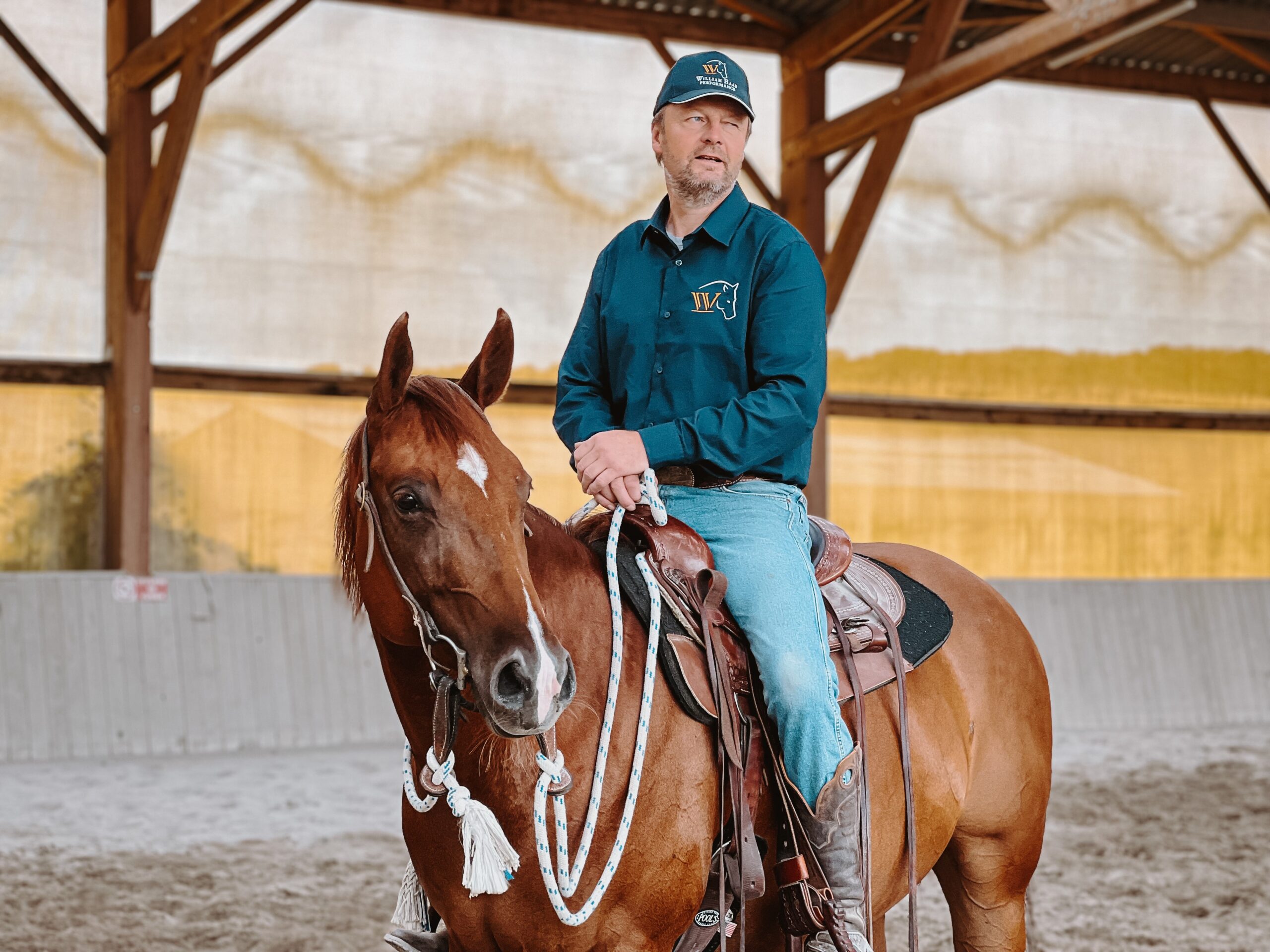 William Haar Horseman Reiner Professionnel