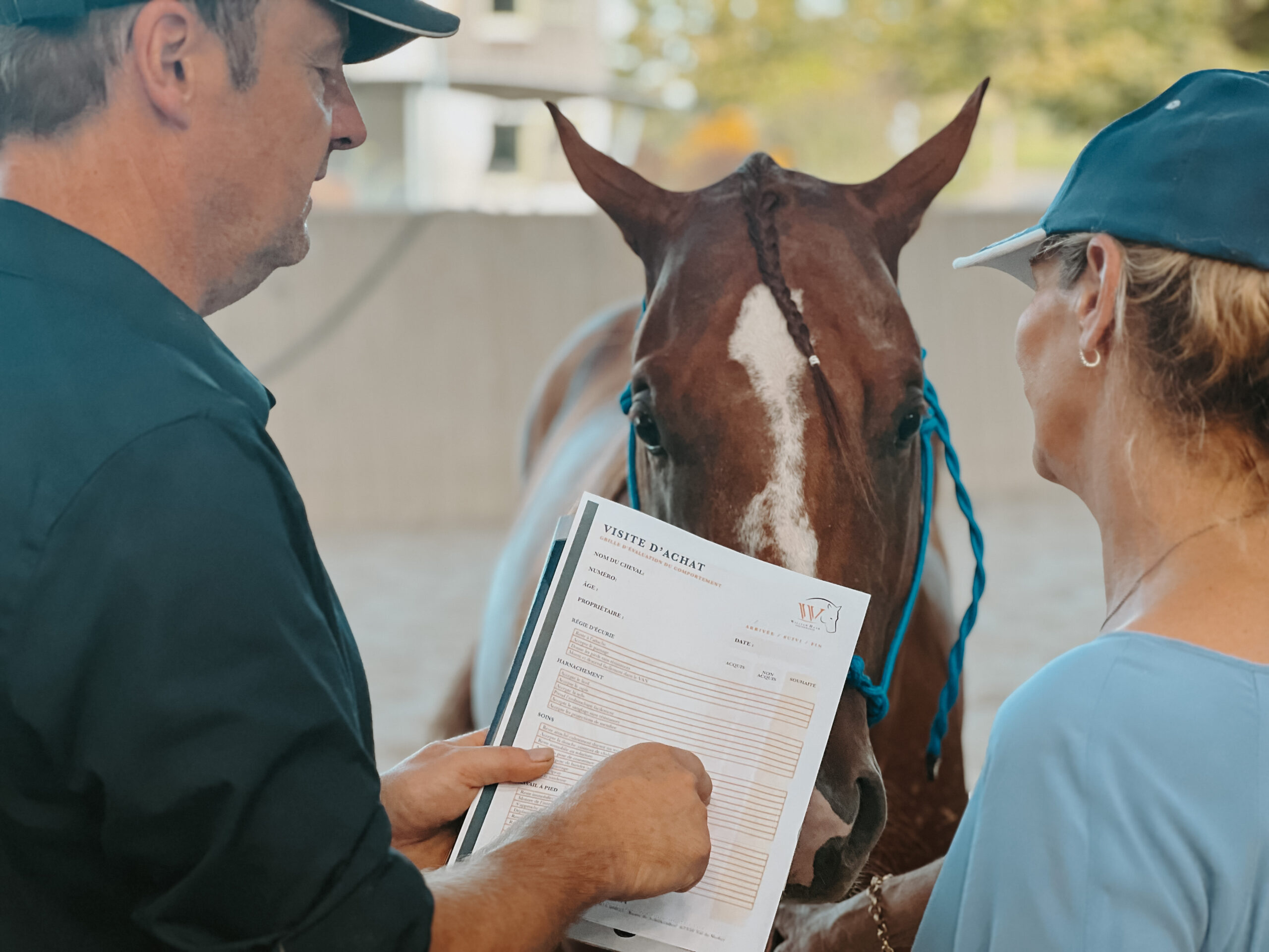Faire le bon choix achat cheval