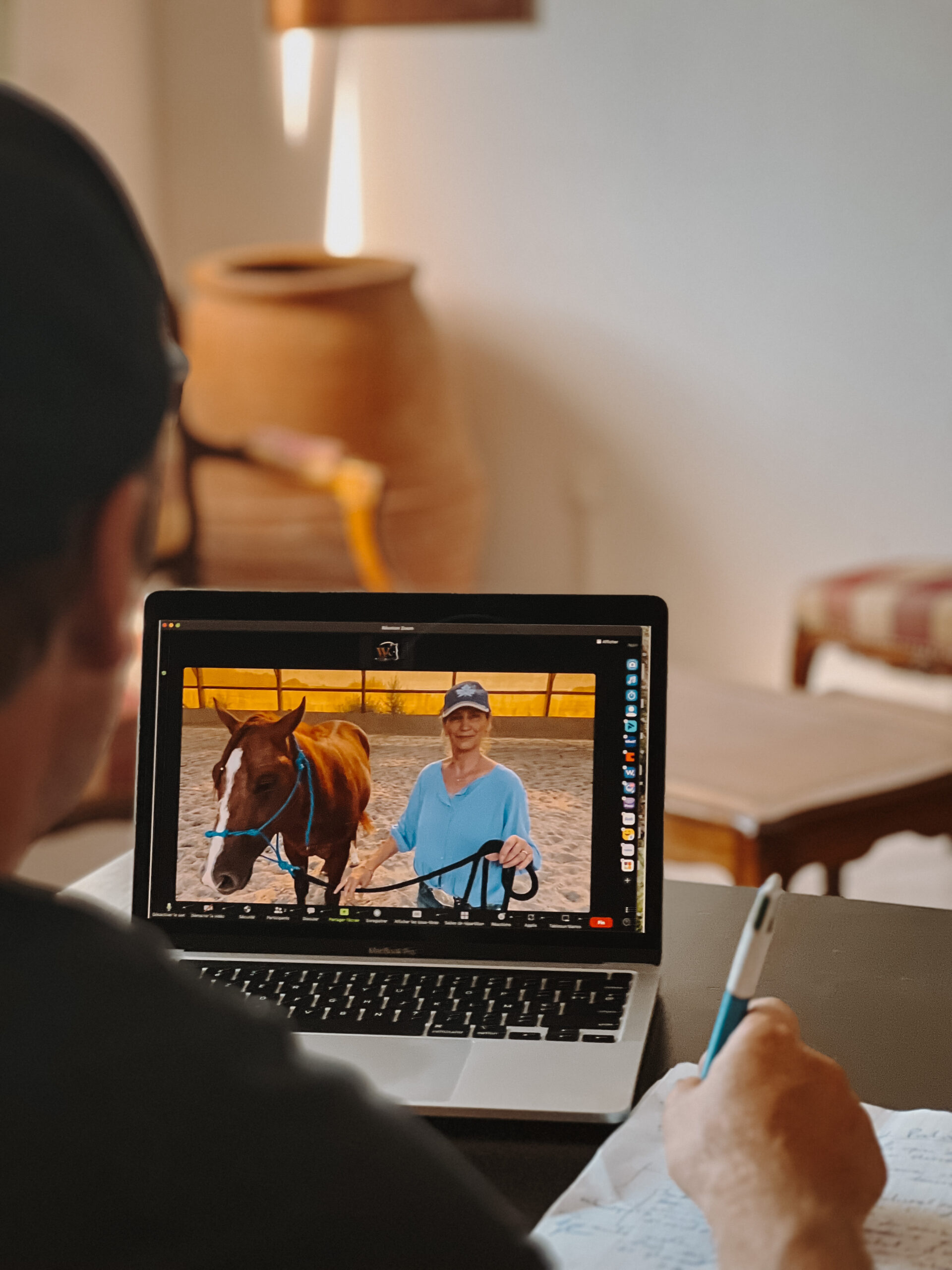 Suivi coaching en ligne horsemanship William Haar