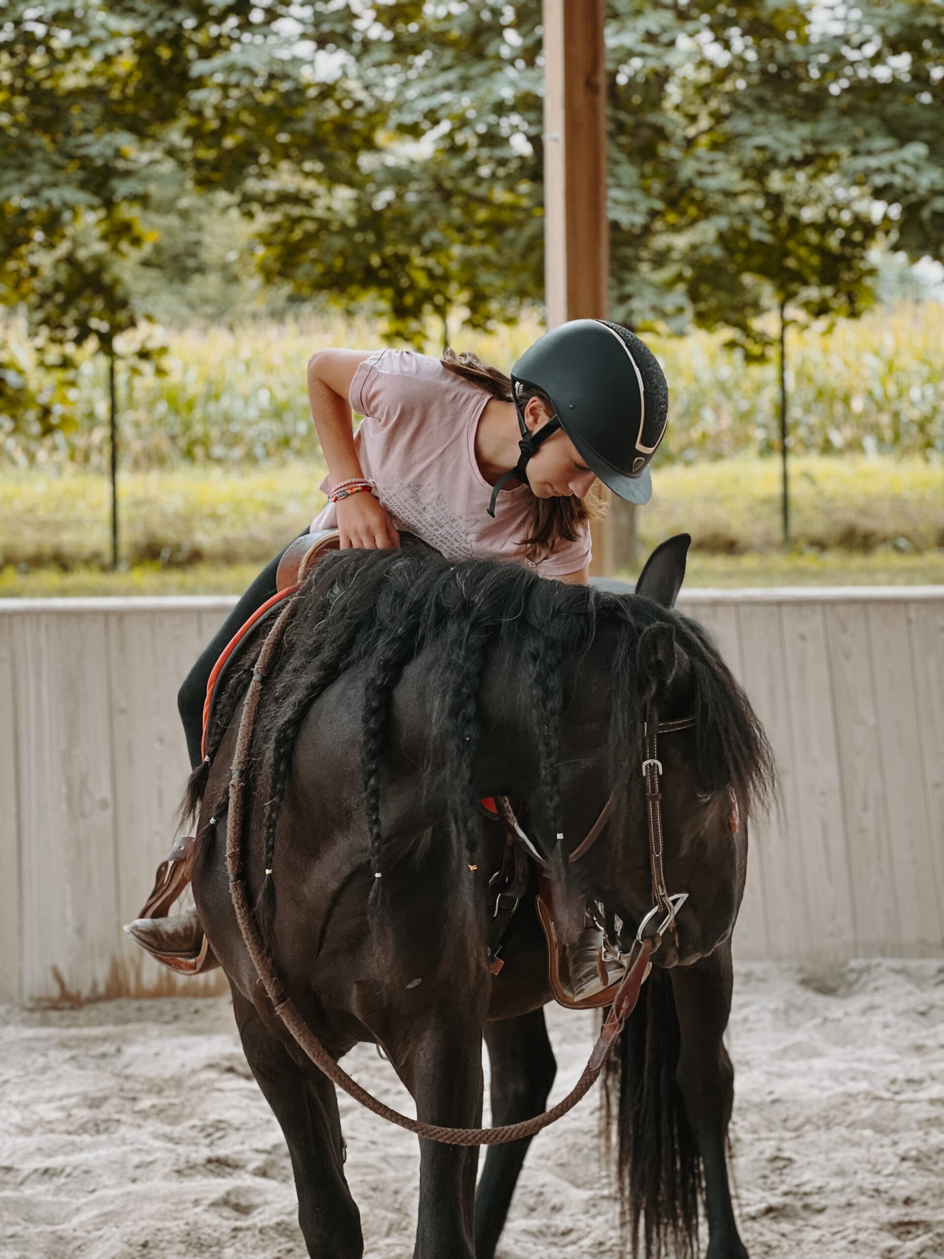 Avis William Haar Performance Cours Western